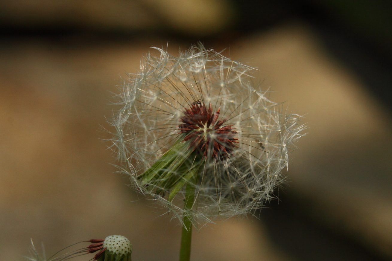 2015 05 17 HTP 000055252